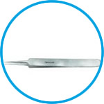 Dissecting forceps
