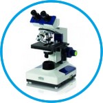 Microscopes, binocular, MBL series