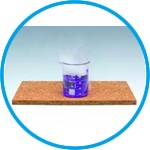 Desk protector, cork