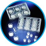 Cell Culture Inserts and Carrier Plates, PC, sterile