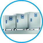 Ovens Heratherm™ General Protocol, with mechanical convection