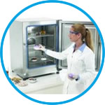 Ovens Heratherm™ Advanced Protocol Security, with gravity convection