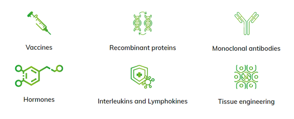 Peptones for Cell Culture